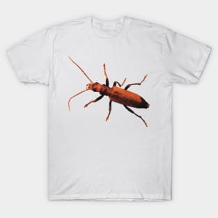 Orange Beetle Wharf Borer T-Shirt